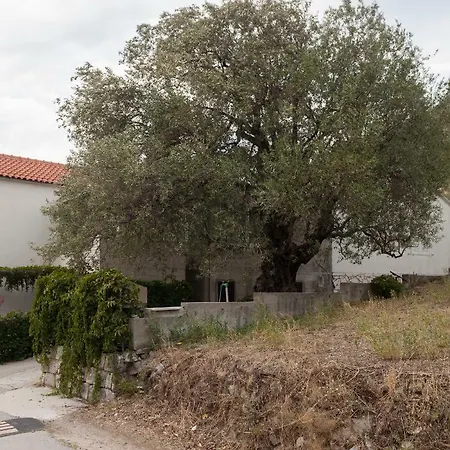 House Ground Floor *